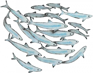 Artistry In Mosaics Bait Ball Porcelain Pool Design 17" x 22"